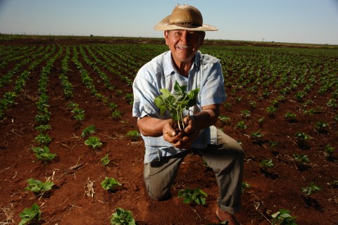 Agricultor Alegre